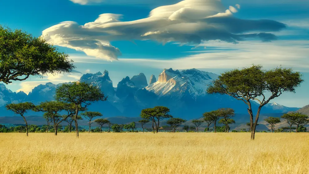 Africa Travel Guide