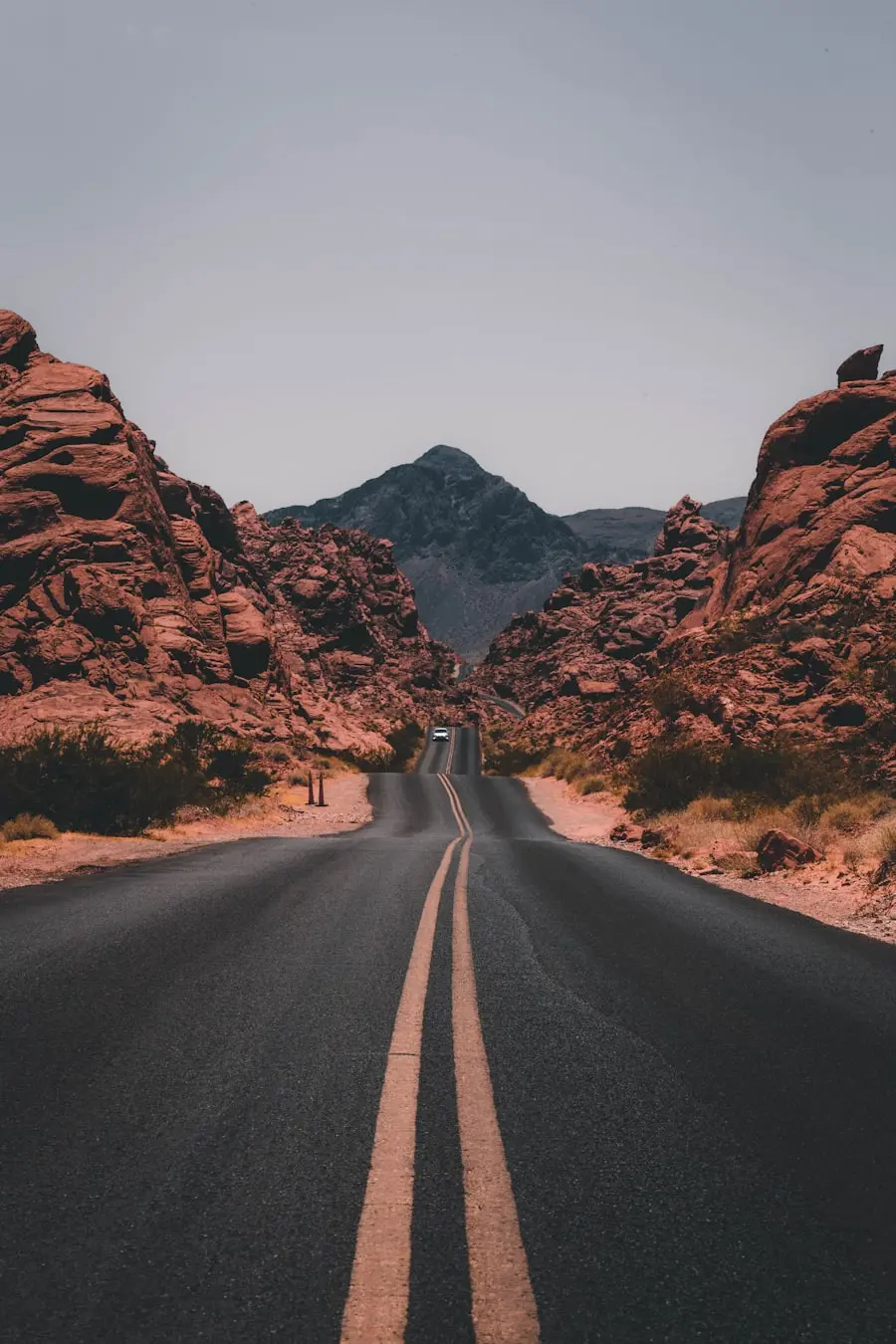 Golden Journey
