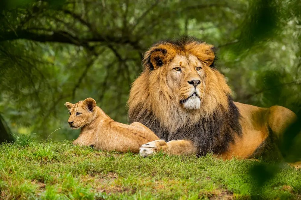 Nature & Wildlife
