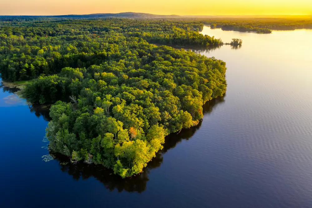 Amazon rainforest