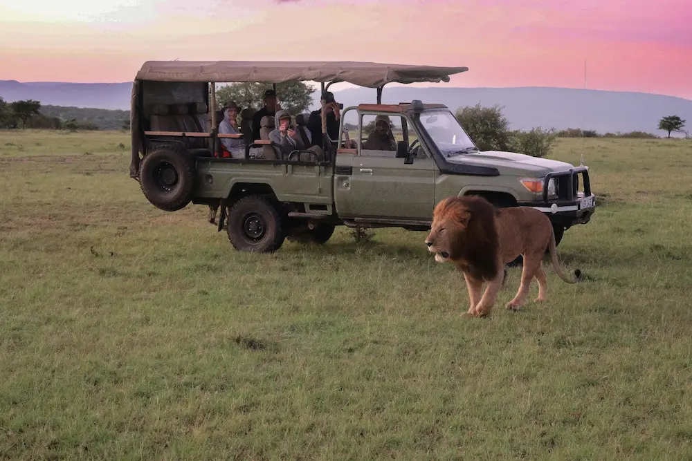 Wildlife safari vehicle in Africa