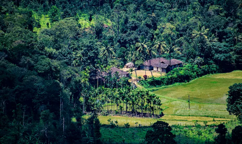 Slow travel destinations and peaceful landscapes in South India