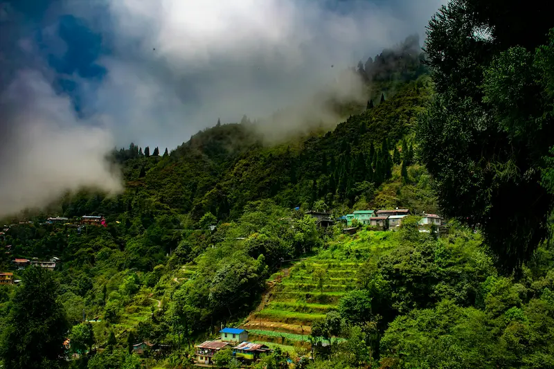 Himalayan tea hills and misty stations in East India