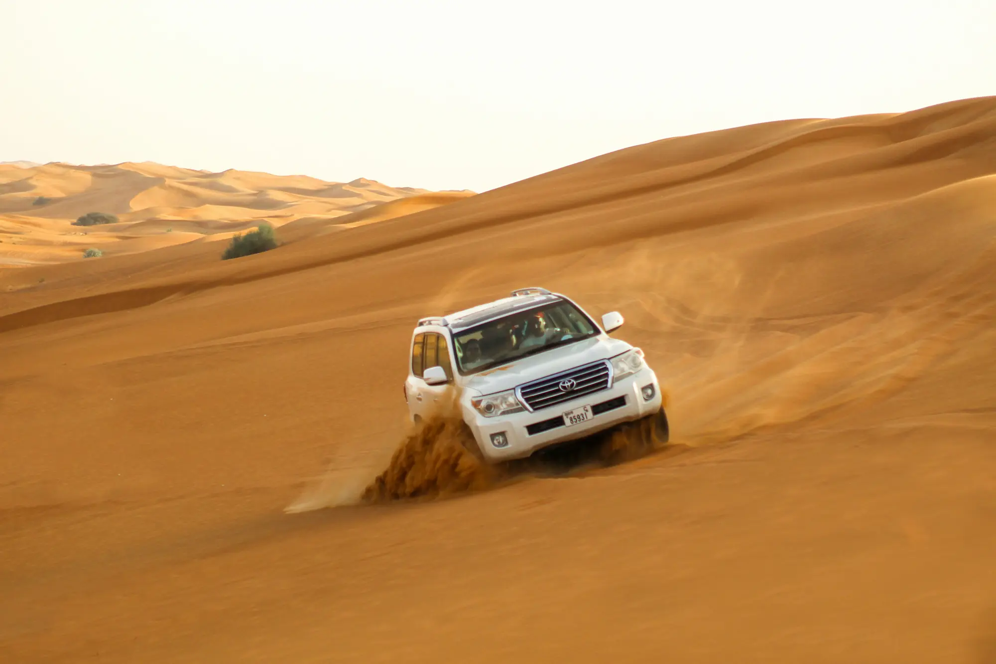 Adventure sports and desert safaris in West India