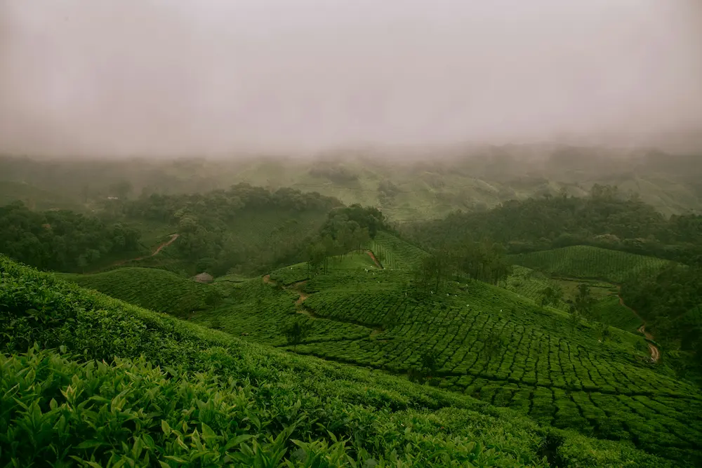 Peaceful eco-villages and slow travel destinations in North East India