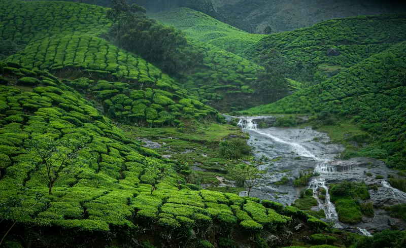First-time travel destinations in South India