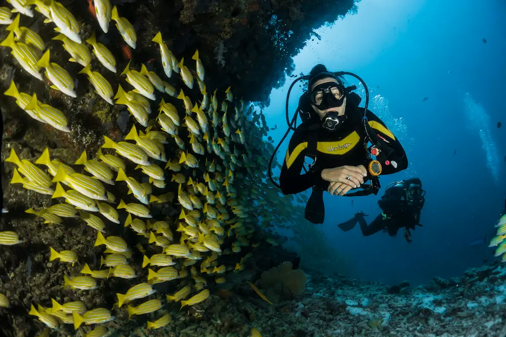 Adventure sports and outdoor activities in North India