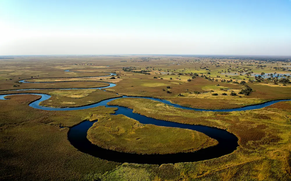 Elephants and wildlife in the Okavango Delta Botswana