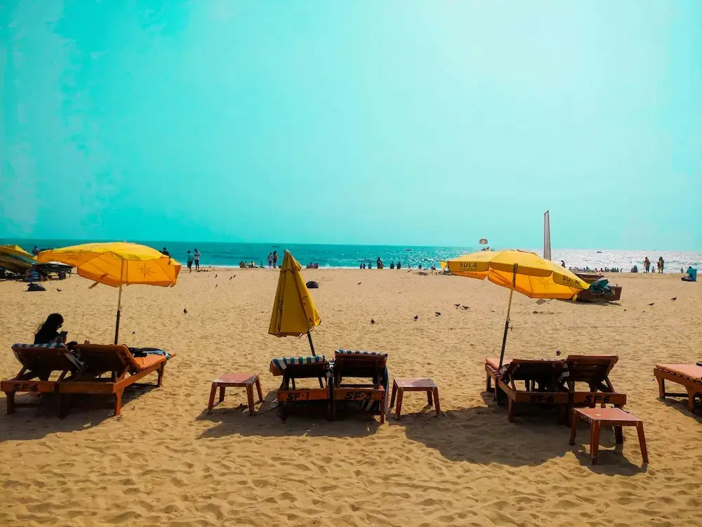 Goa beach with tropical coastline and palm trees