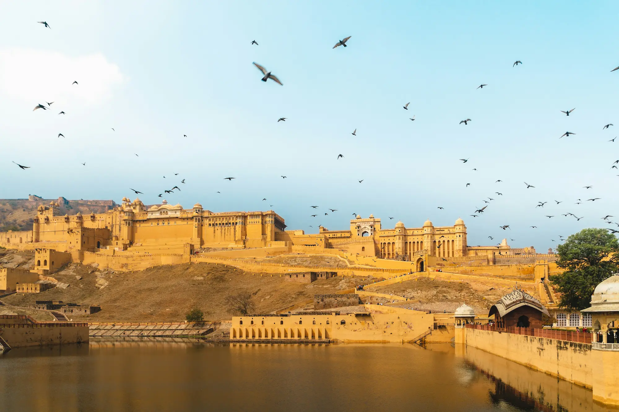 Amber Fort, West India attraction