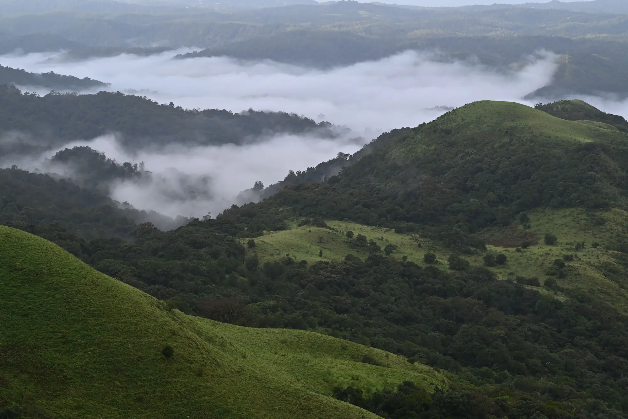 Coorg destination in Karnataka