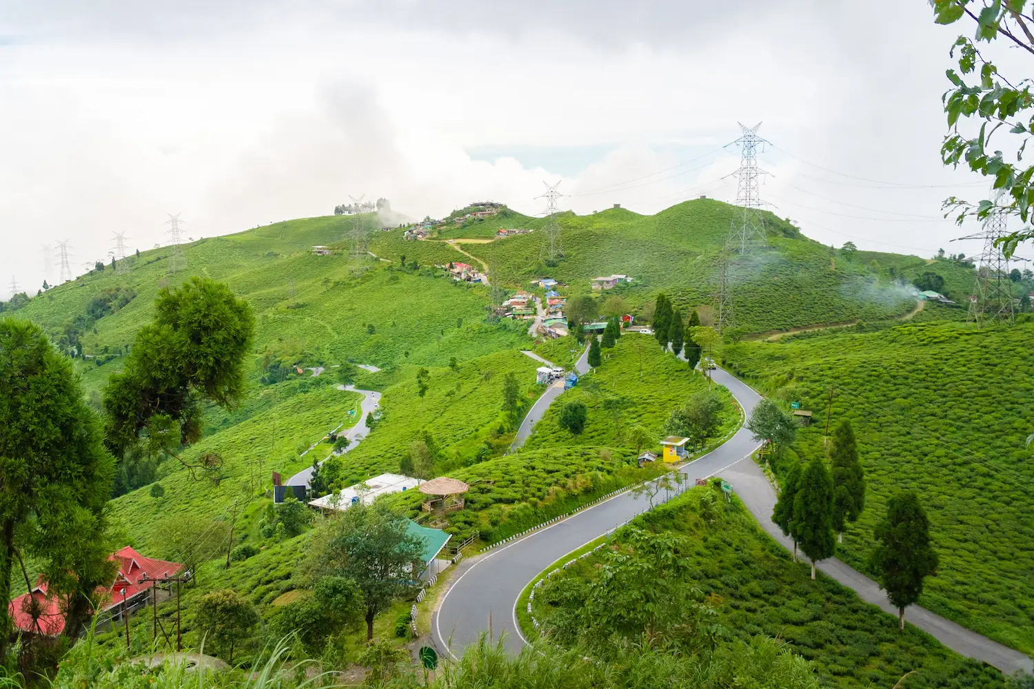 Darjeeling hills in West Bengal