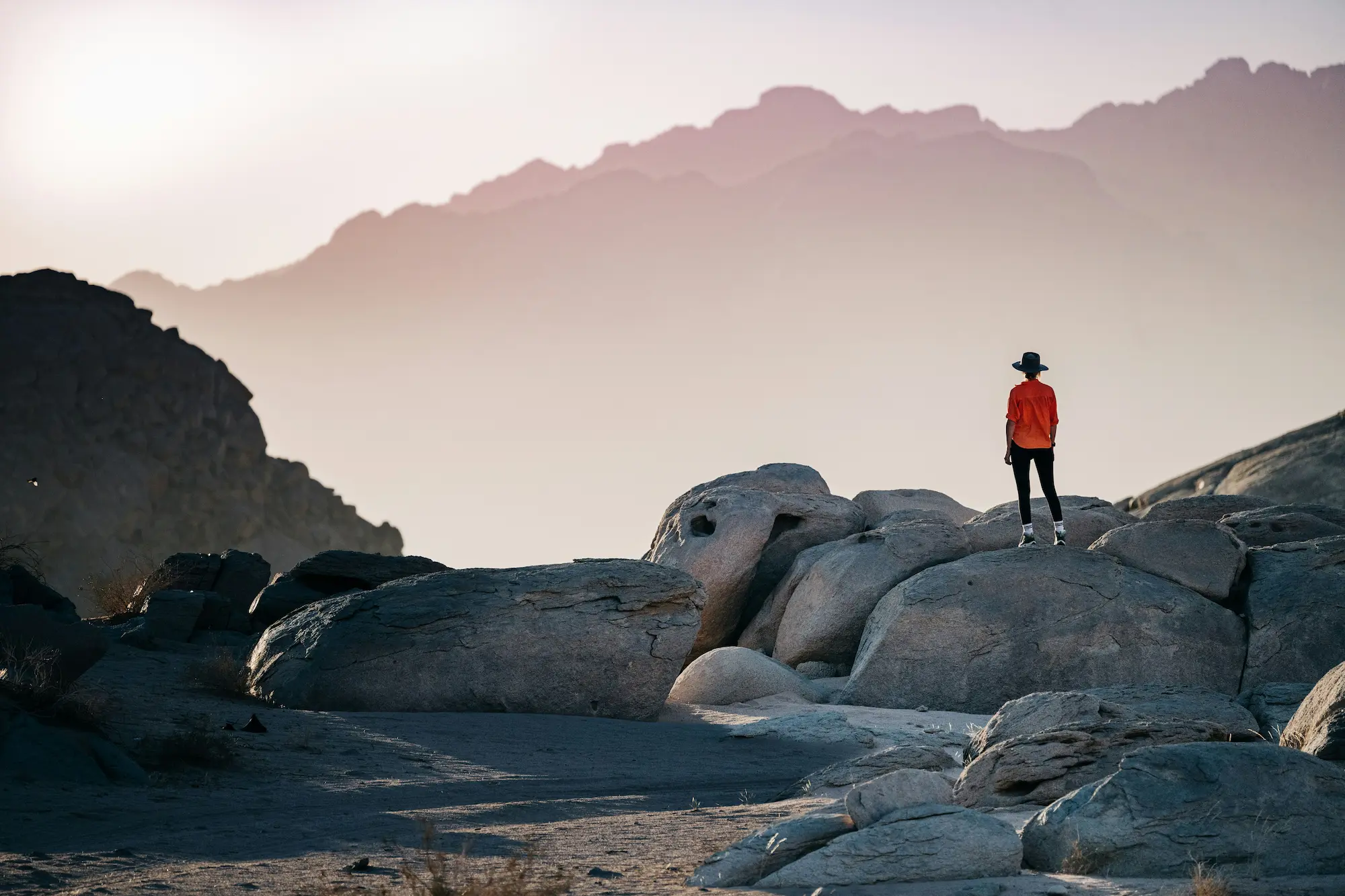 Different types of travellers exploring India
