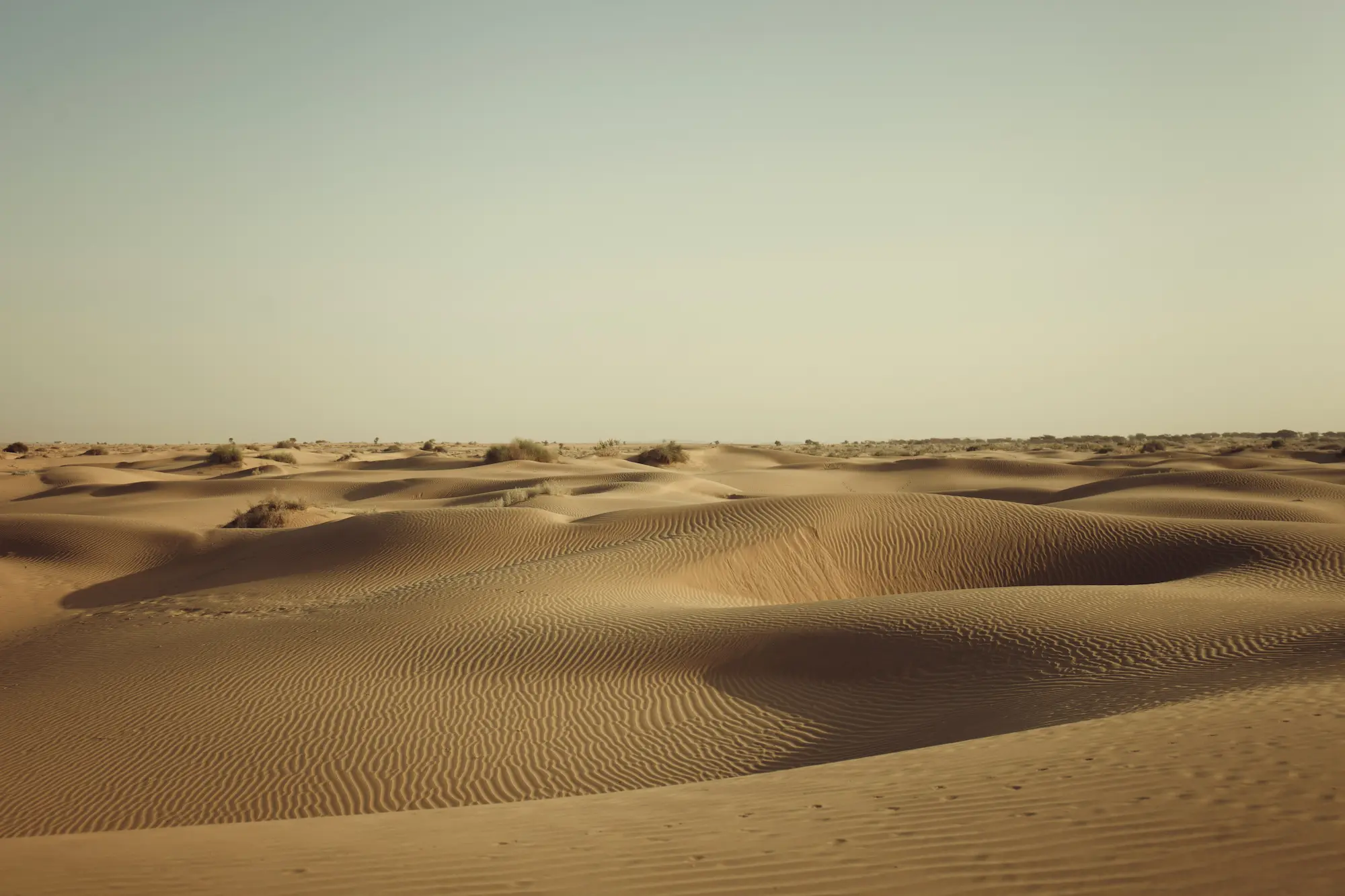 Jaisalmer Fort and golden Thar Desert landscape in Rajasthan
