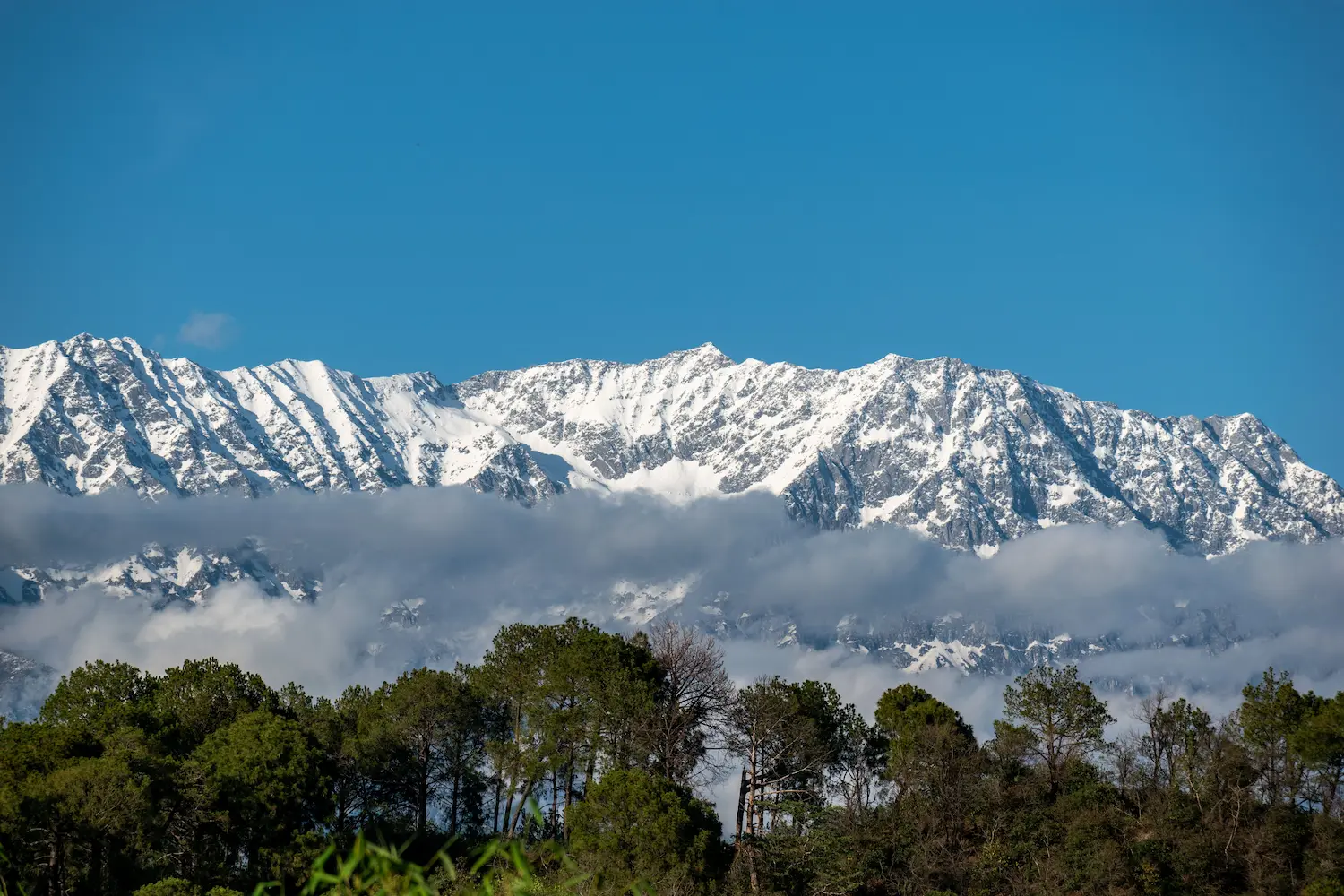 The majestic snow-covered peaks of the Dhauladhar range towering above prayer flag-lined trails in McLeod Ganj.
