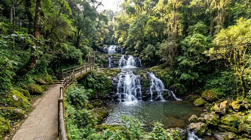 Shillong and Cherrapunji Meghalaya waterfalls, green hills and living root bridges