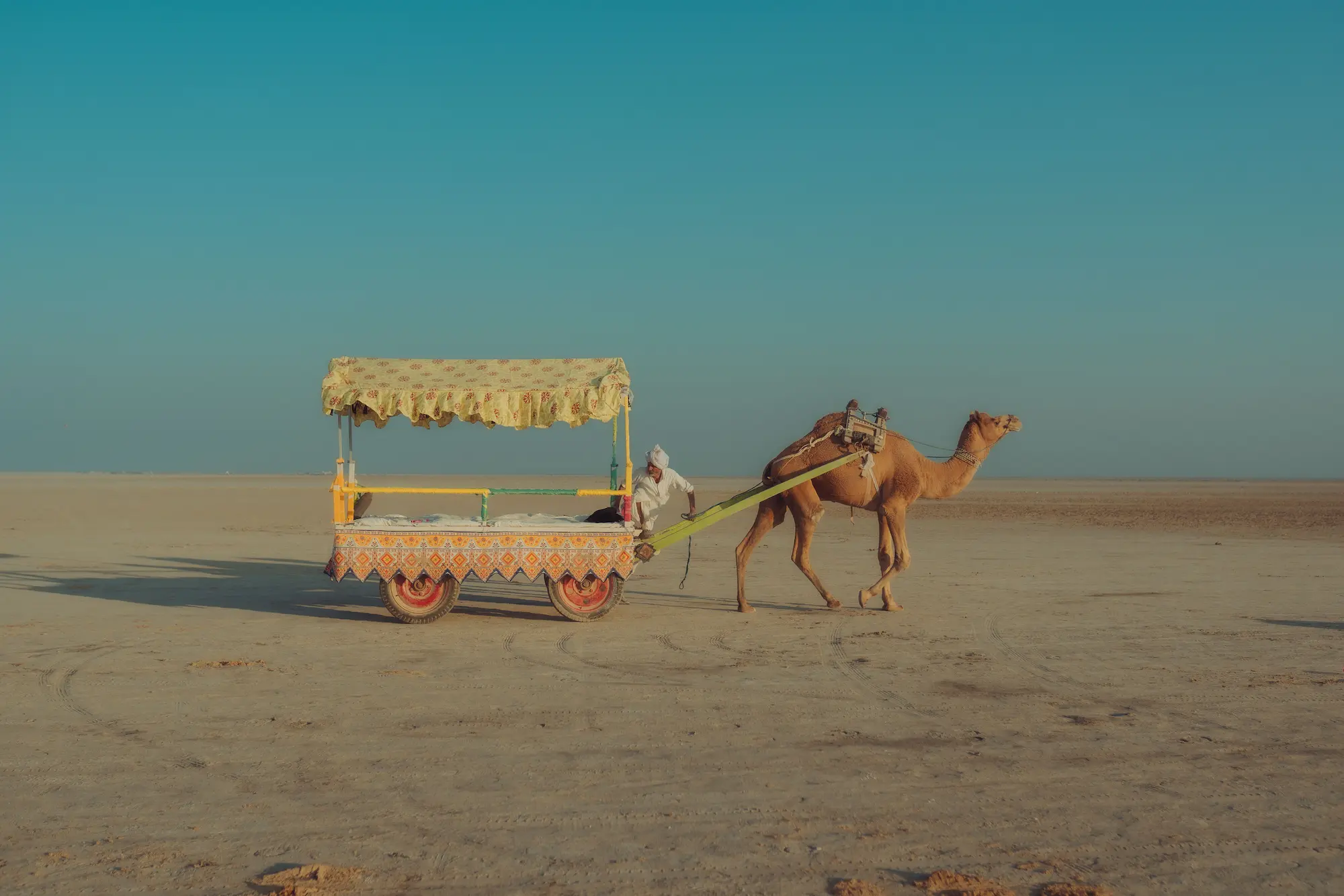 Traditional camel carts travelling through the landscape of Rajasthan, India