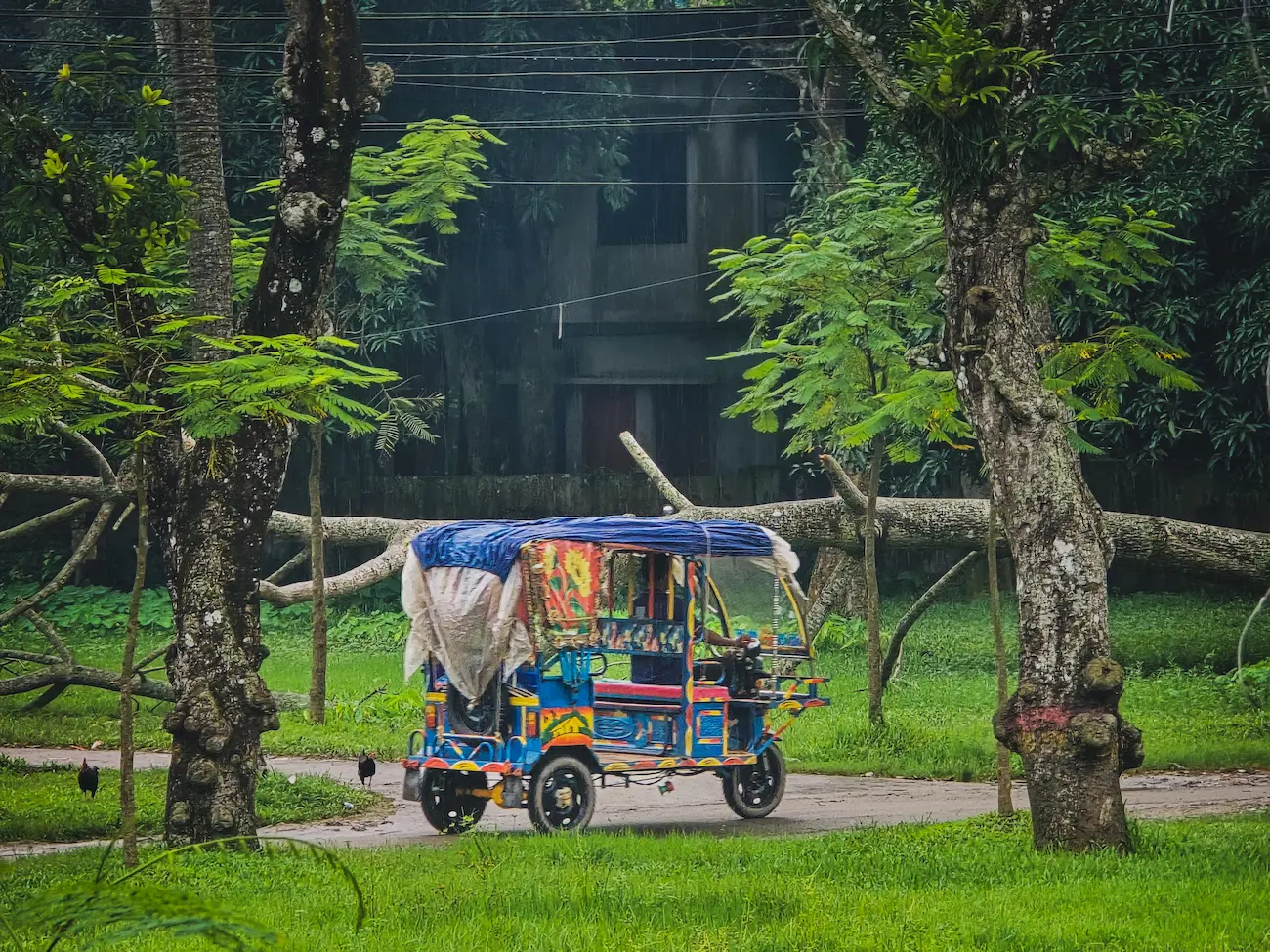 E-rickshaw in Maharashtra