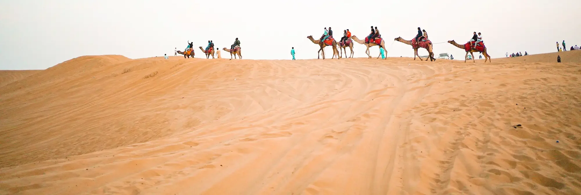 Golden sand dunes of Sam in Jaisalmer during a sunset desert safari with camels in the background